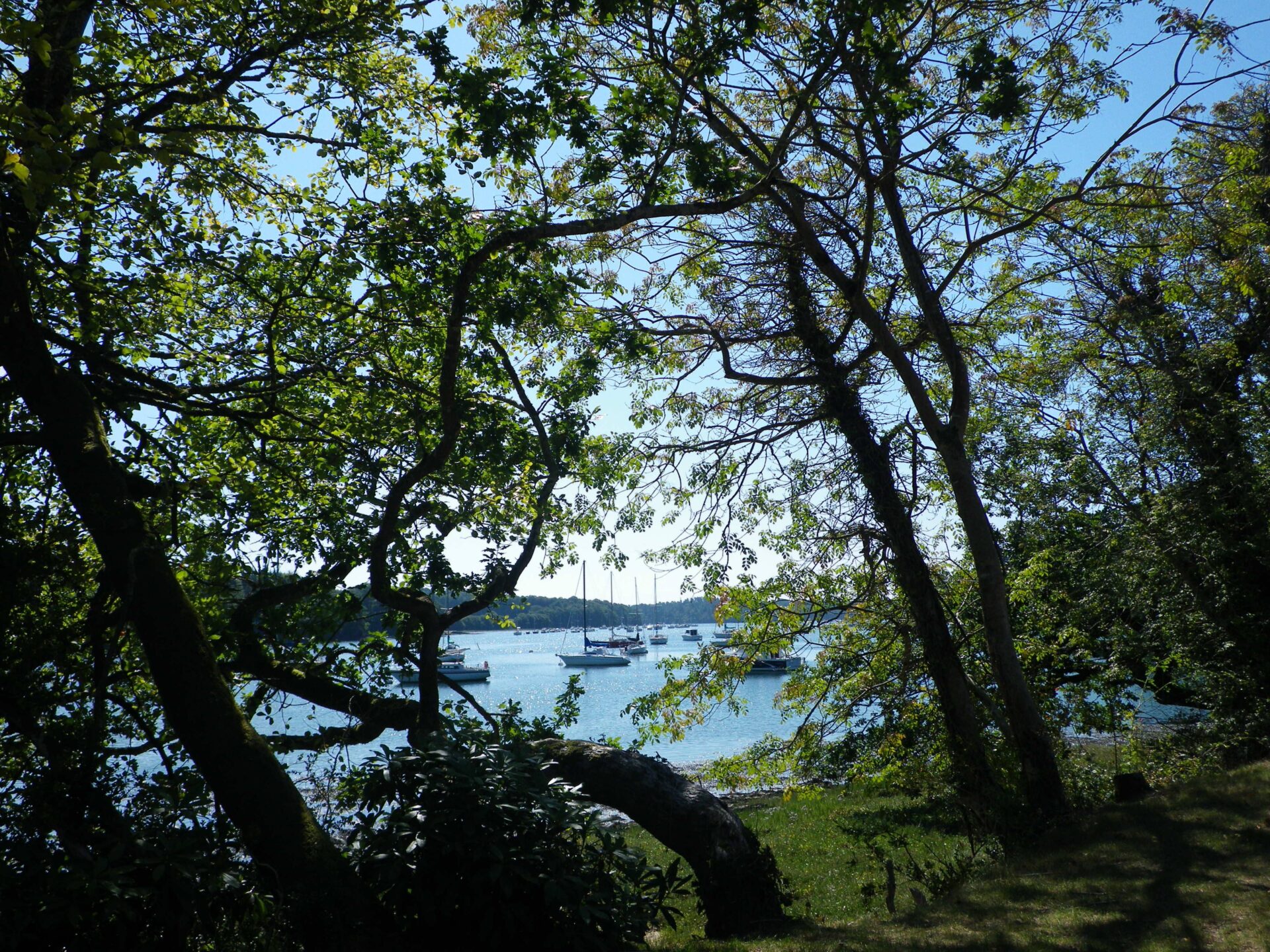 odet-riviere-quimper-benodet