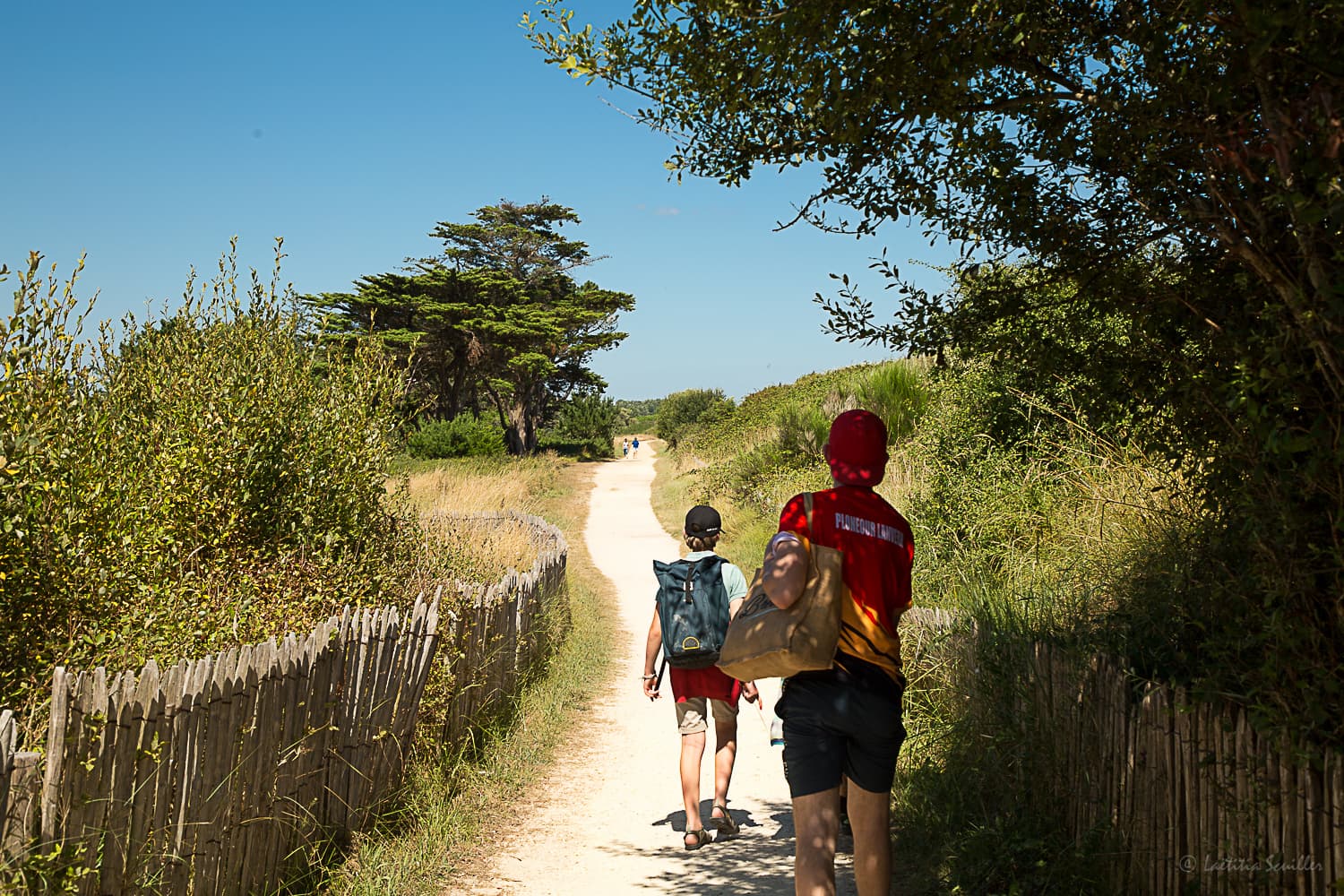 ile-tudy-sentier-gr34-bacnrando